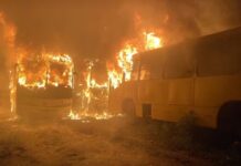 Amigos fumam maconha dentro de ônibus municipal e bituca de cigarro causa incêndio em três veículos na BA